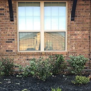 Meet your Posher, Khwanta